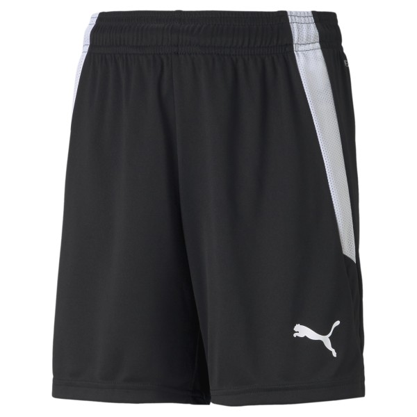 PUMA teamLIGA Shorts Jr