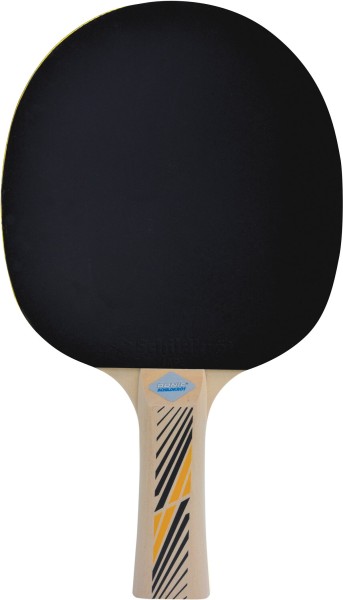 DONIC-SCHILDKRöT Donic-Schildkröt Tischtennisschläger Legends 300 FSC