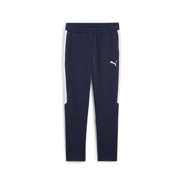 PUMA teamEVOSTRIPE Pants