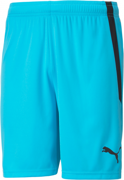 PUMA Herren Shorts teamLIGA Shorts