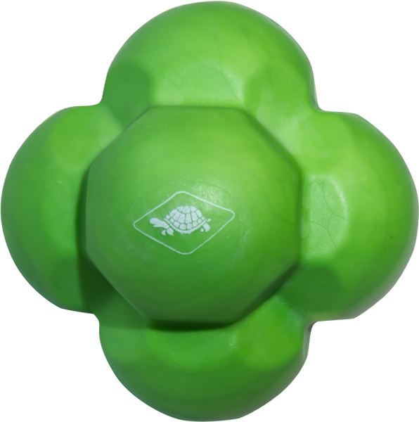 Schildkröt Fitness Reaction Ball