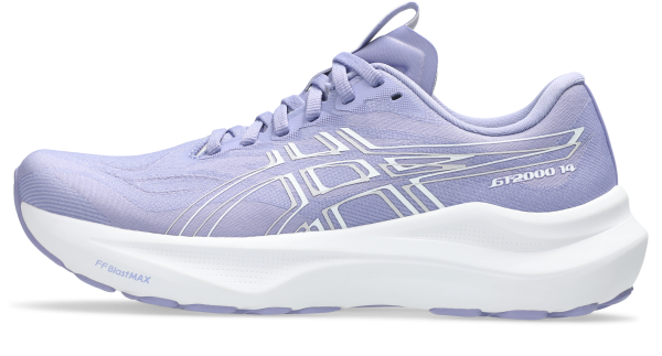 ASICS EUROPE B.V. GT-2000 14