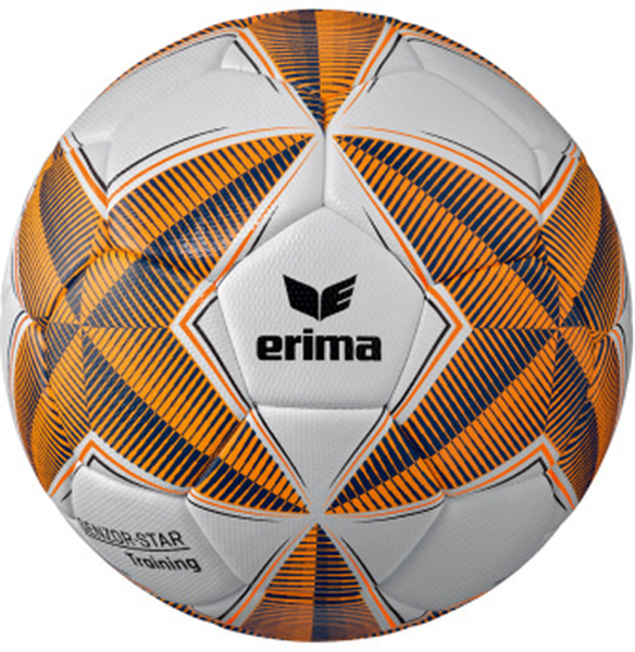 ERIMA Ball SENZOR-STAR training